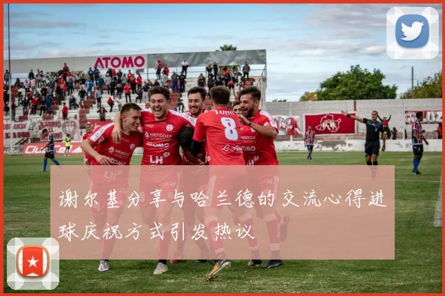 谢尔基分享与哈兰德的交流心得进球庆祝方式引发热议