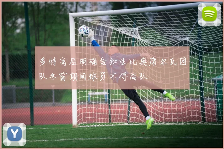 多特高层明确告知法比奥席尔瓦团队冬窗期间球员不得离队