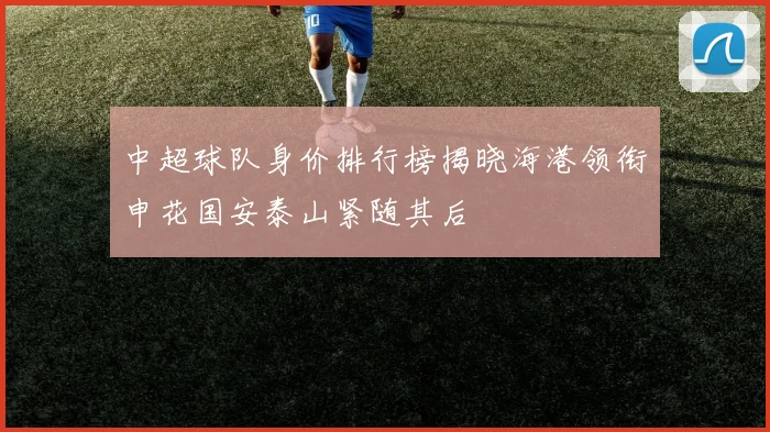 中超球队身价排行榜揭晓海港领衔申花国安泰山紧随其后