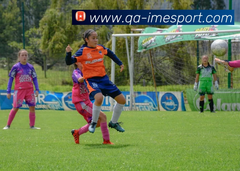 IM电竞APP 封面图