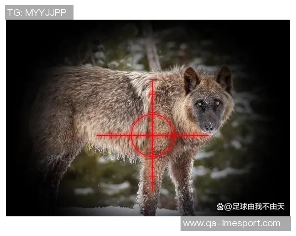 狼队主帅佩雷拉面临行为不当指控需在十月十三日前回应